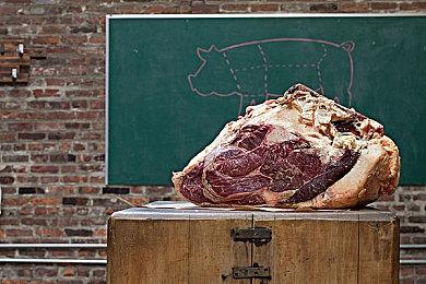 模拟经营游戏《动物收容所》明年一季度发售 支持简体中文