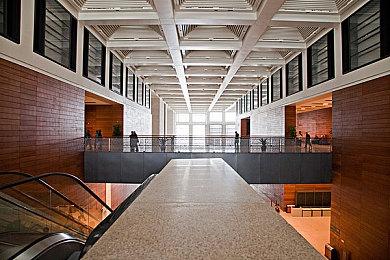 体验苍蝇一生 创意游戏《苍蝇时光》发布预告